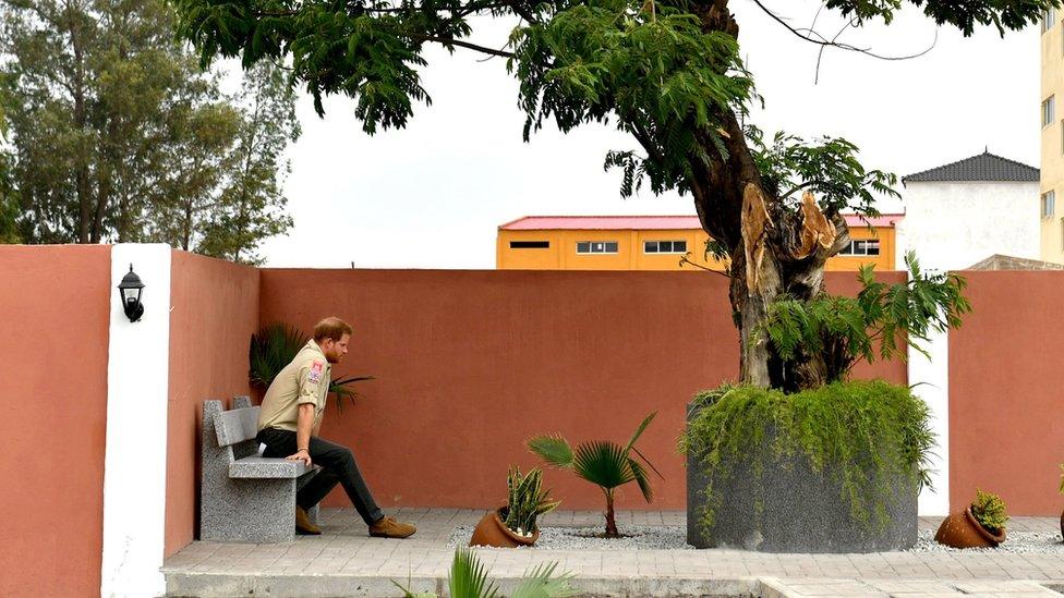 Prince Harry in Angola