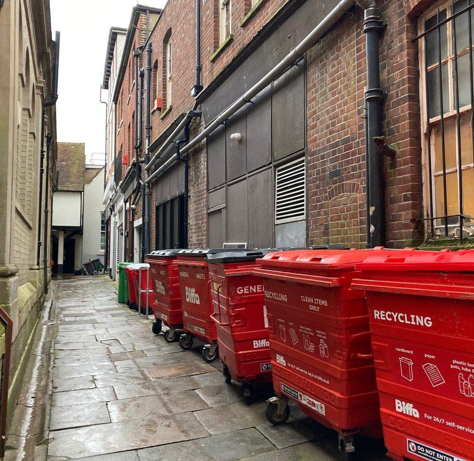 Wheelie bins in alley way