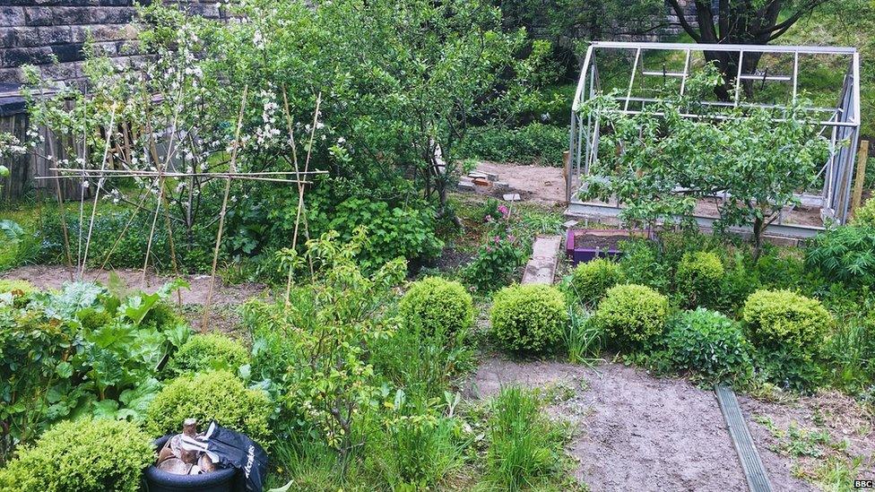 Allotment, West Yorkshire (Image: BBC)