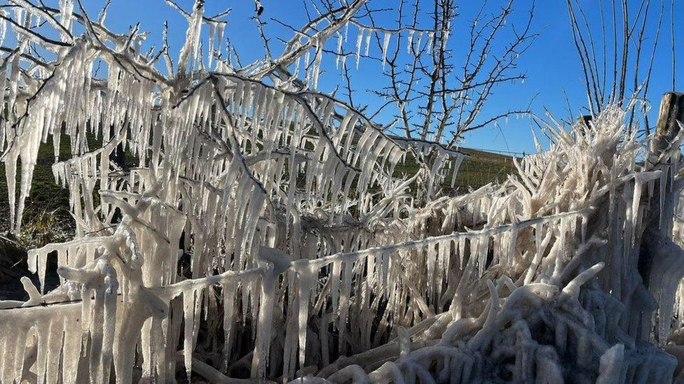 Icy patches and formations over hedges on the B4192 near Marlborough