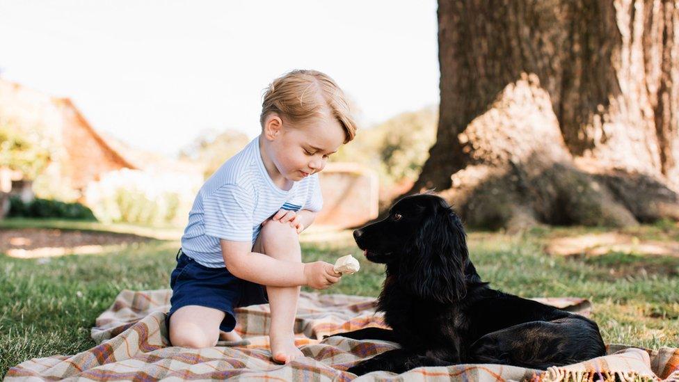 Prince George and dog Lupo