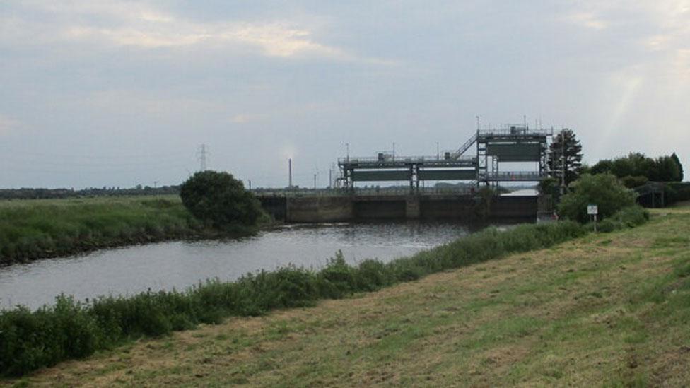 Dog in the Double sluice, Peterborough