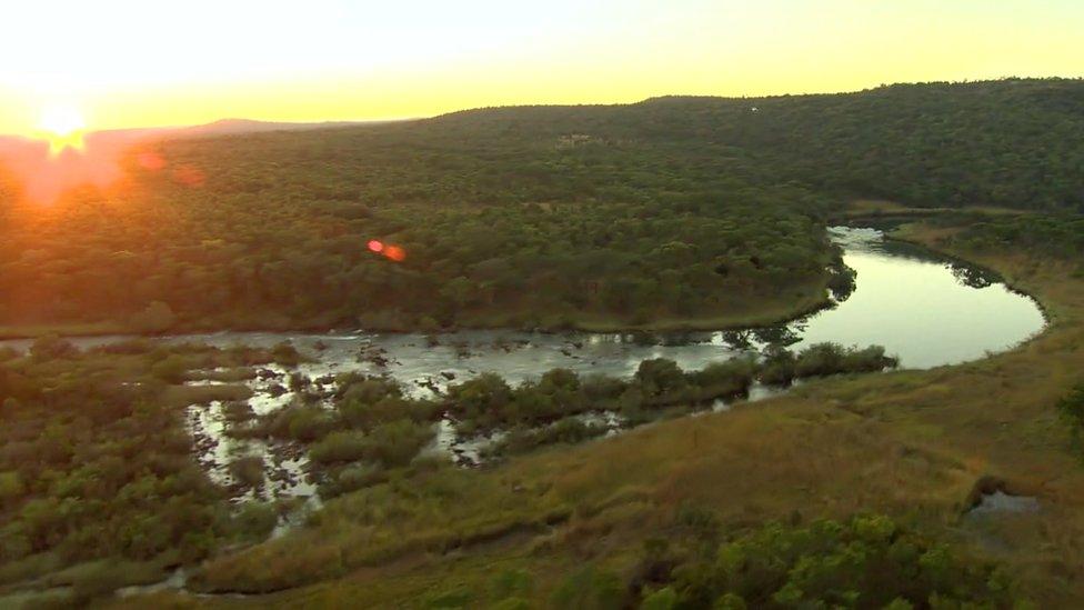 A carpet of thick African bush fed by waters from four rivers make up the Okavango river system, Angola June 2016