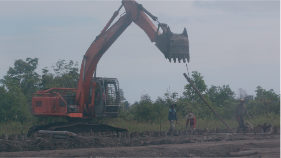 Workers at the PT Moharison concession in March 2018