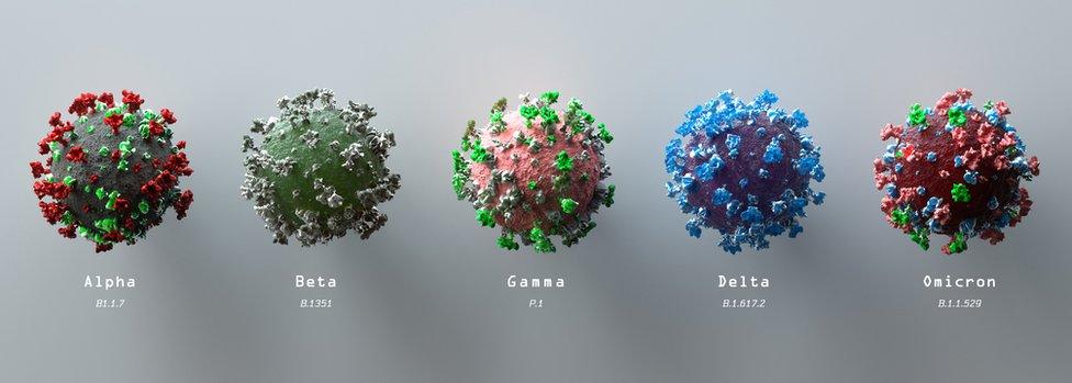 Microscope images of Covid variants