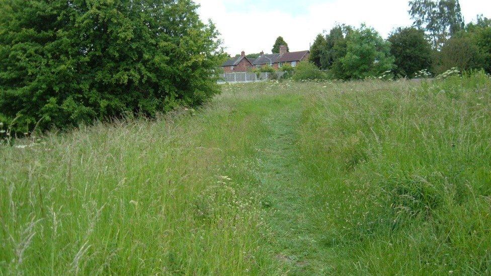 The overgrown area in Staveley