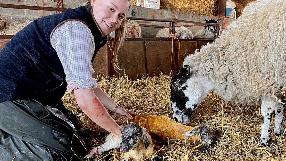 Libby Lawrence delivering a lamb