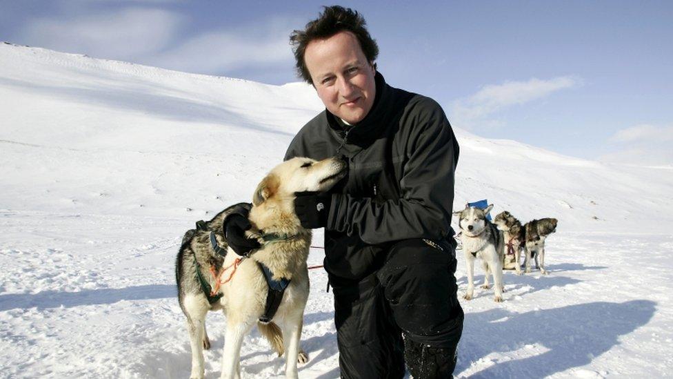 David Cameron in 2005