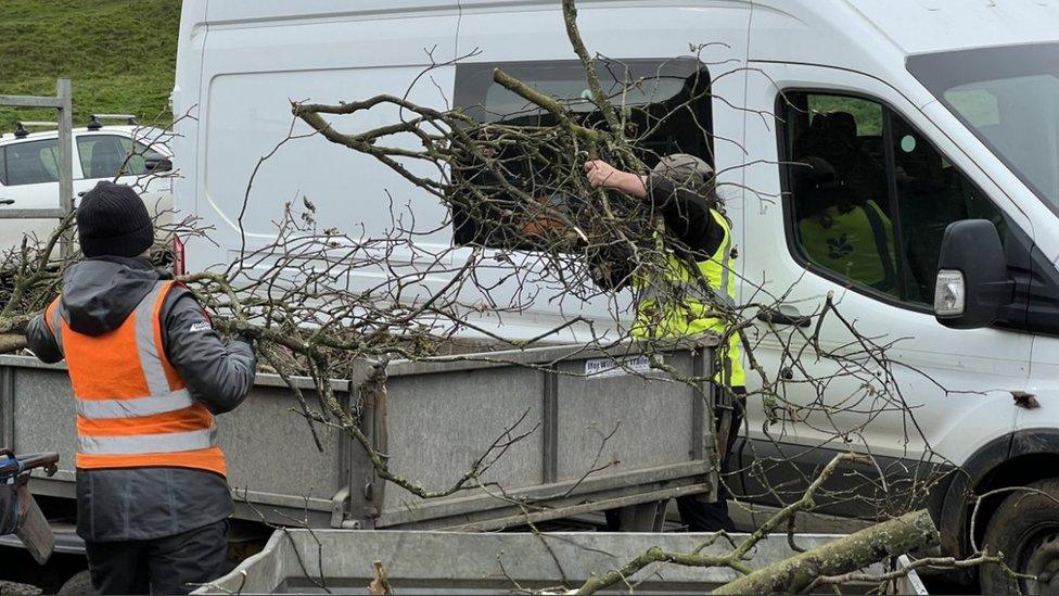 Workers loading branches