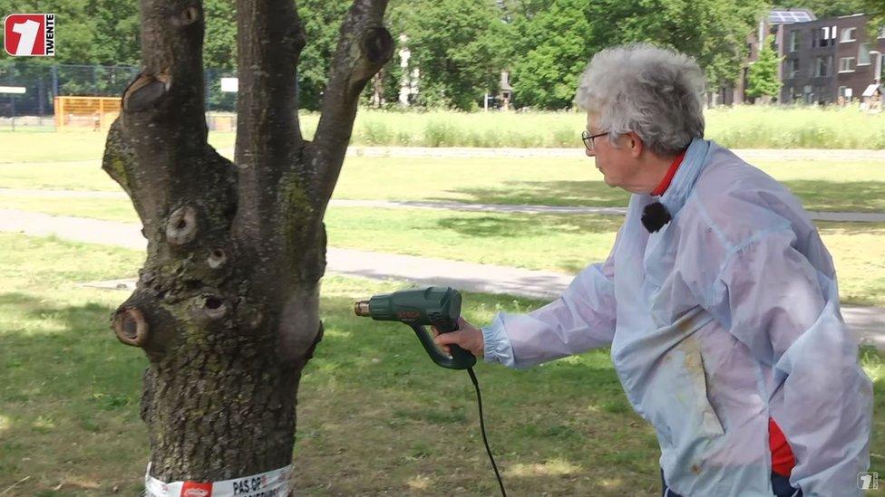 Elderly woman attacking caterpillar nest with a heat gun