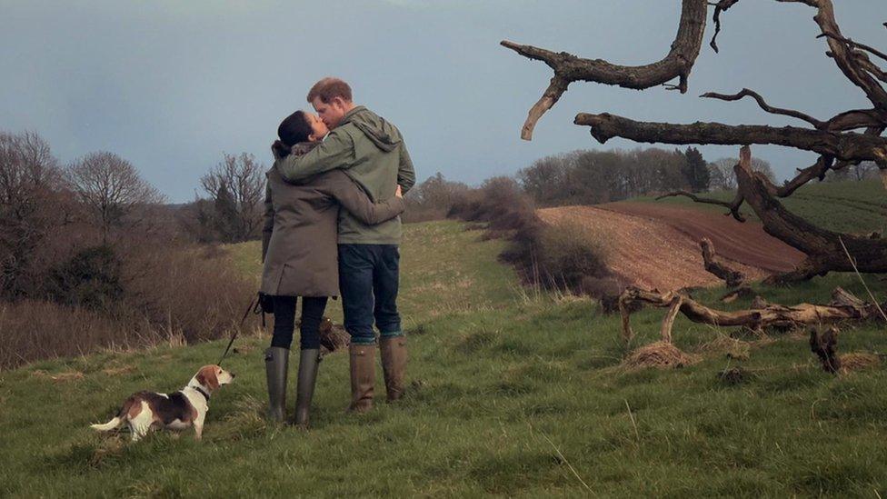 Harry and Meghan kiss in a field near a fallen tree