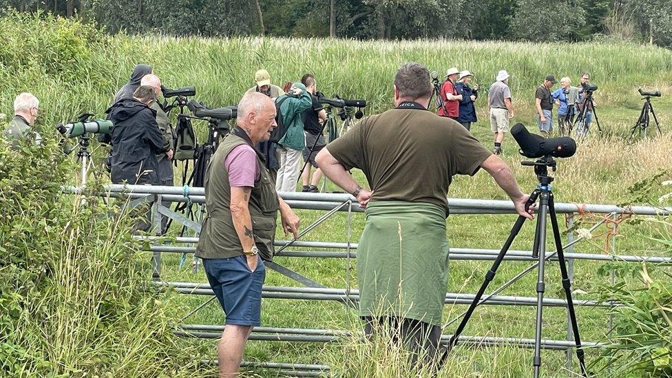 Birdwatchers in Norfolk