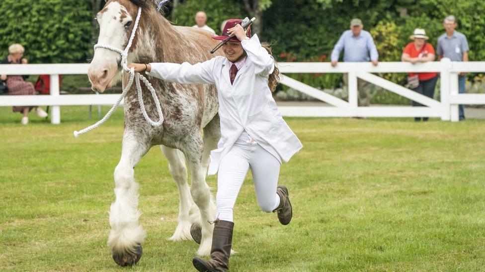 Great Yorkshire Show 2022