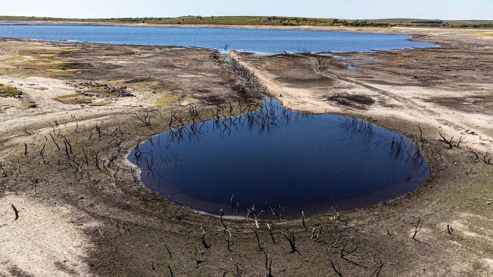 Colliford Lake where water levels have severely dropped exposing the unseen trees and rocks at Cornwall's largest lake and reservoir