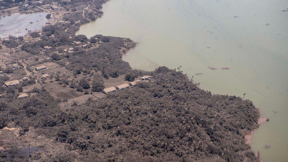 Photos released by the New Zealand Defence Force showed a part of Tonga blanketed in ash