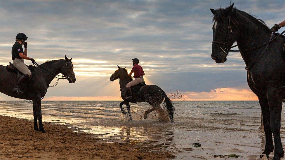 Household Cavalry Mounted Regiment on Holkham beach