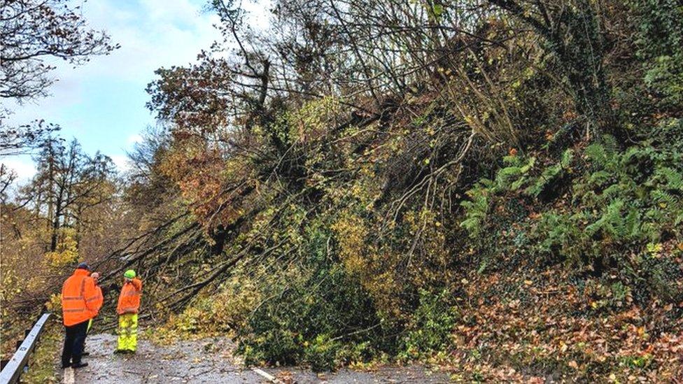 Trees blocking A470