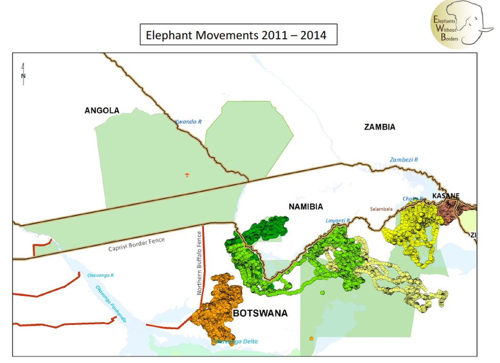 Elephant movements 2011 -2014