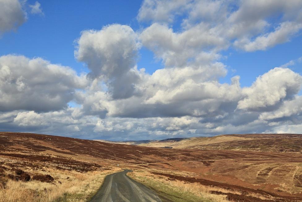 Langholm Moor