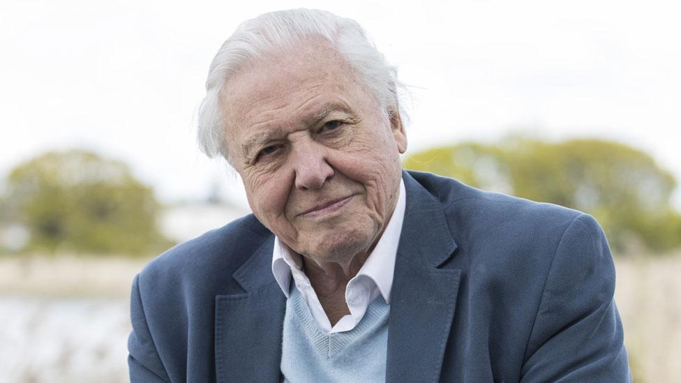 Sir David Attenborough