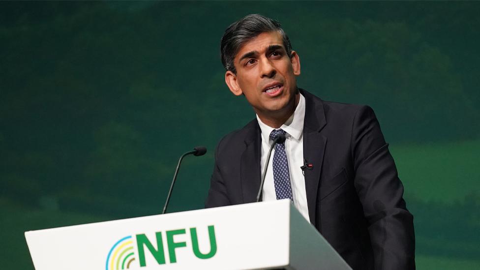 Rishi Sunak addresses the conference