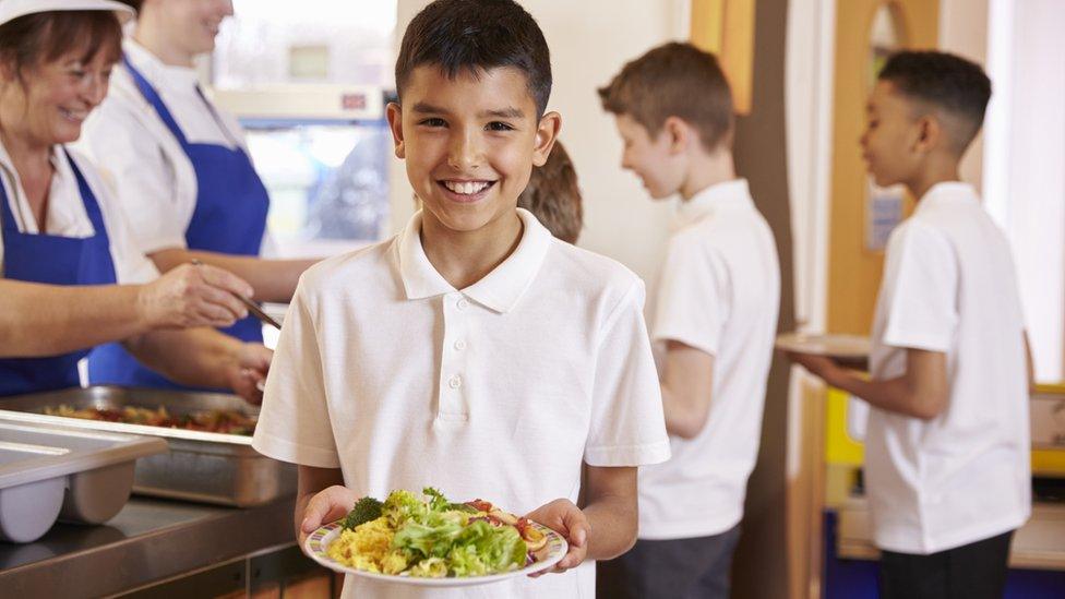 Boy with healthy school meal