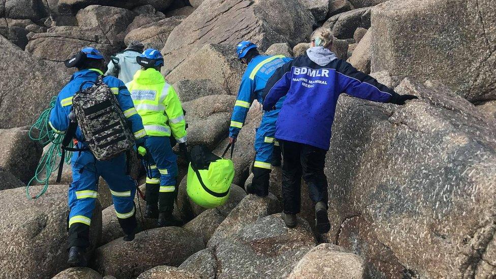 Seal being carried in high vis rescue bag