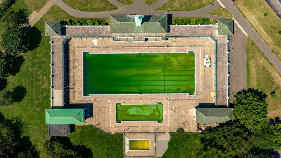 Peterborough Lido turns green