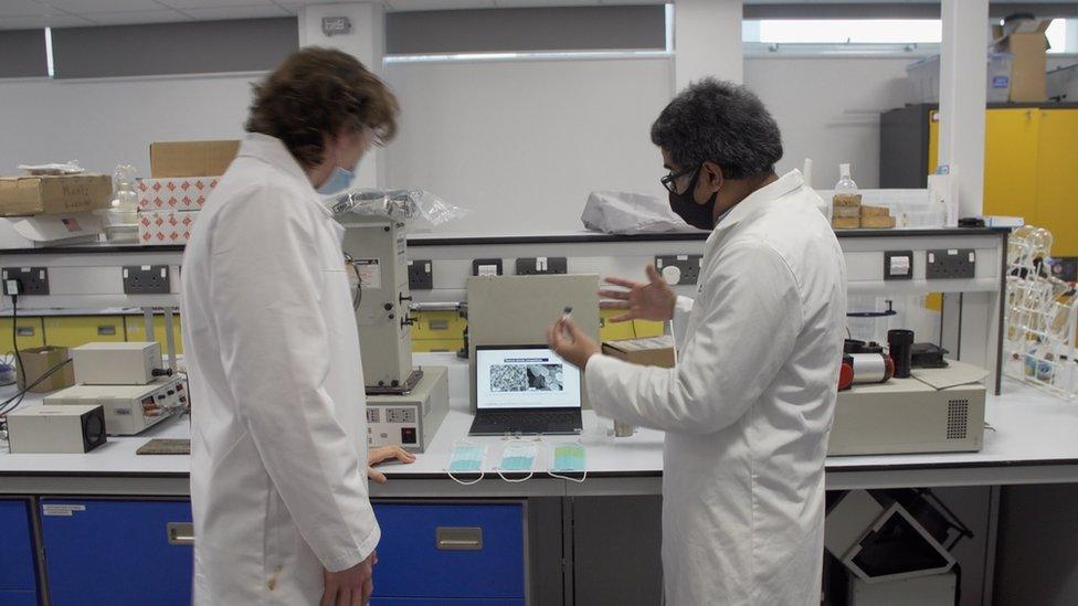 Scientists working in the lab