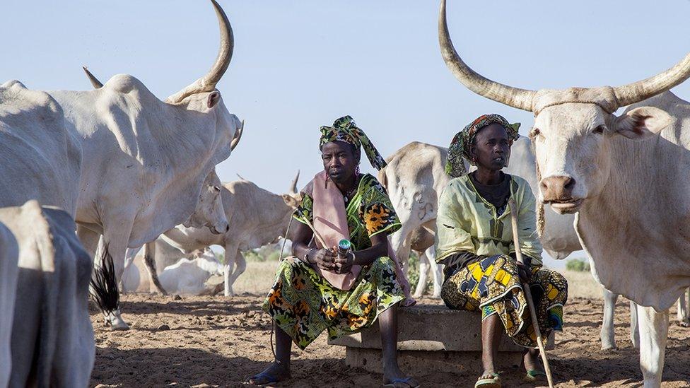 Women waiting at a borehole