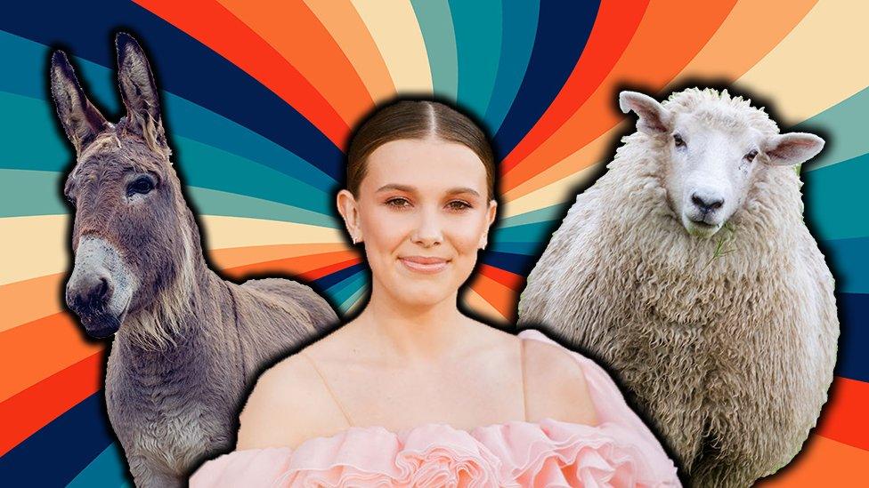 Colourful graphic of millie bobby brown, a sheep and a donkey