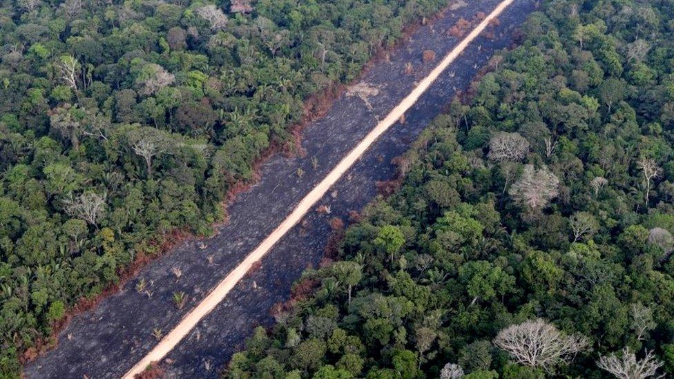 Road through burnt Amazon jungle near Porto Velho, Rondonia State, Brazil