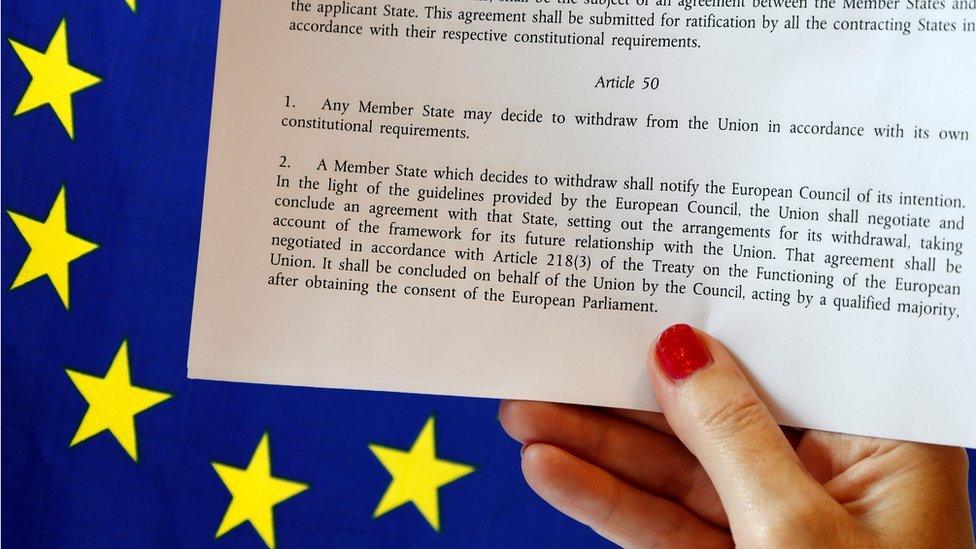 A woman holding Article 50 in front of the EU flag