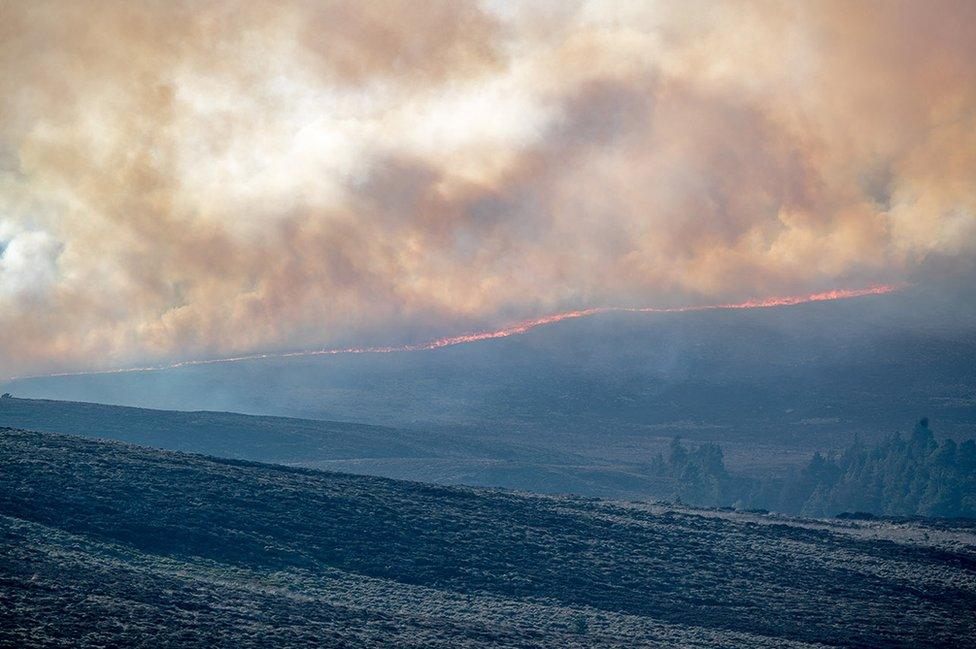 Moray wildfire