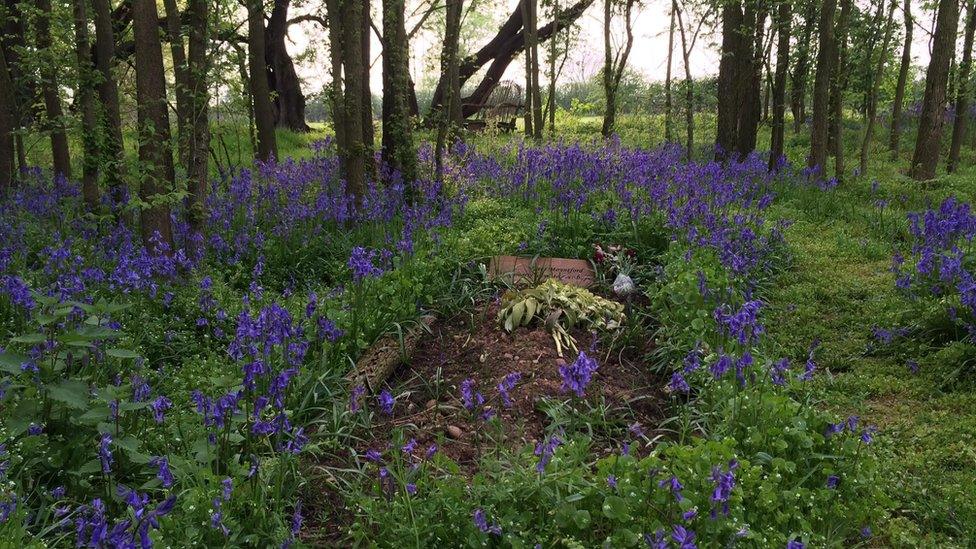 A Respect Green Burials grave in woodland in north Nottinghamshire