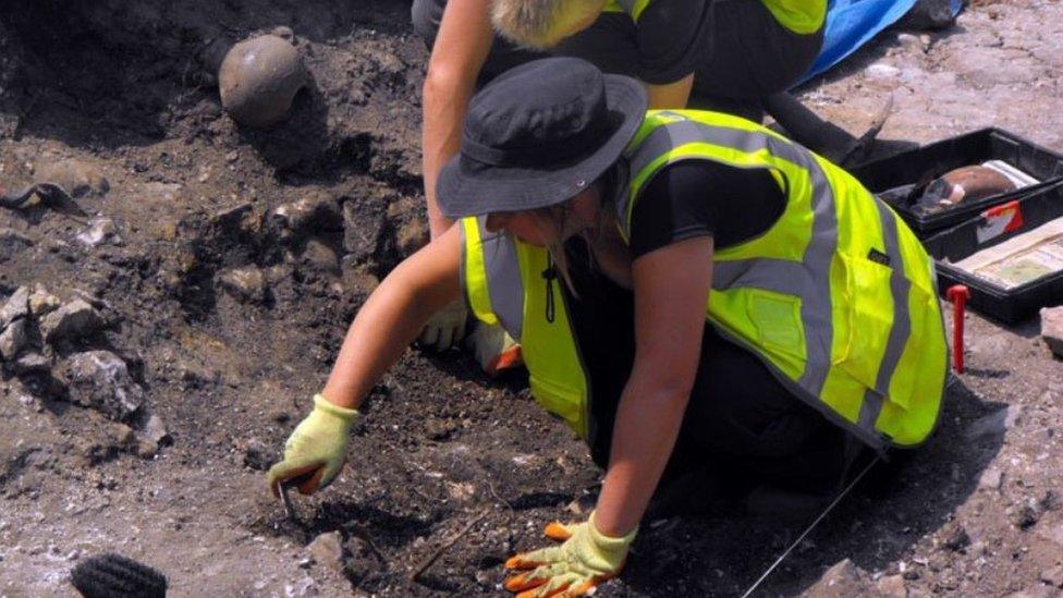 Archaeologists at Dorset County Museum