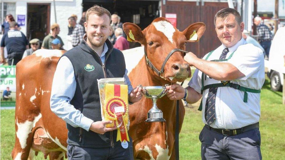 Ian Collins of Whitley near Dewsbury with his Dairy Shorthorn Churchroyd Bronte Wildeyes