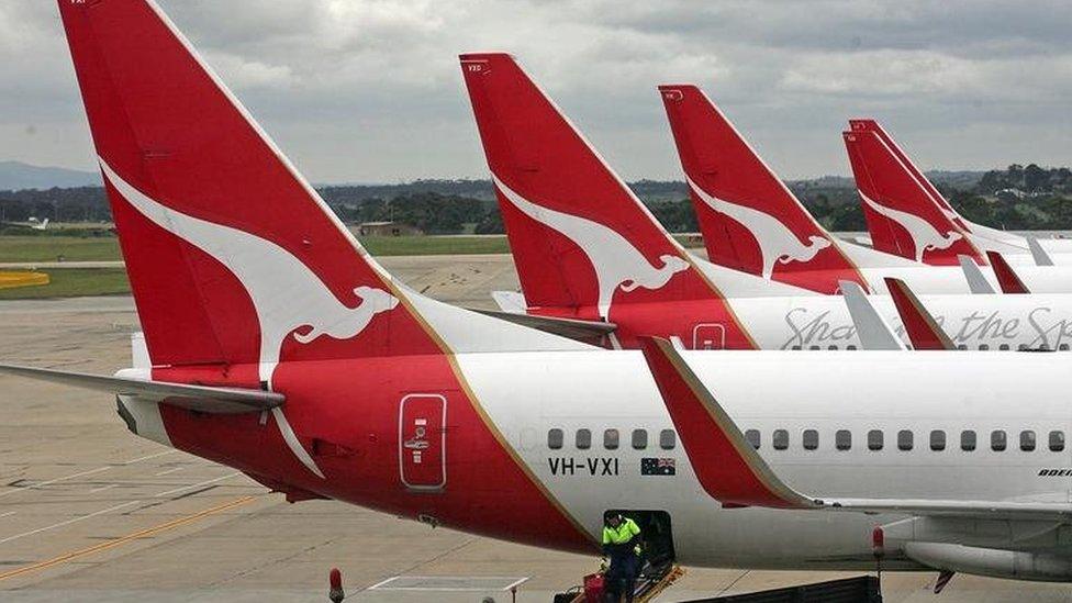 Qantas planes docked in a row at Melbourne Airport