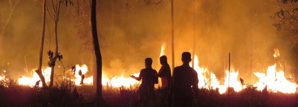 This handout photo taken on 25 September 2015 and released on 9 October 2015 by the Borneo Orangutan Survival Foundation shows fires continuing to rage late at night at the Samboja Lestari Orangutan Reintroduction Program site in Samboja, in Indonesia"s East Kalimantan