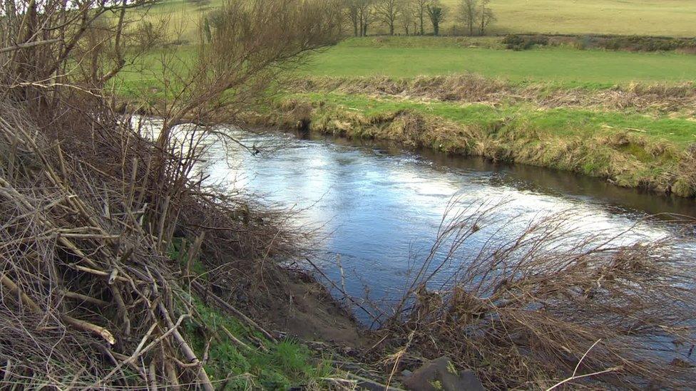 The River Faughan runs past the illegal dump