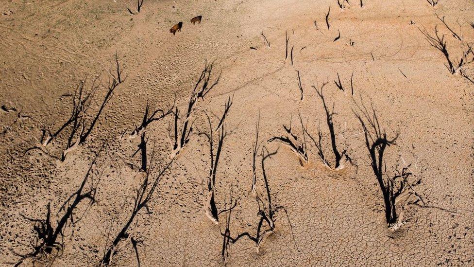 drought-in-South-Africa.