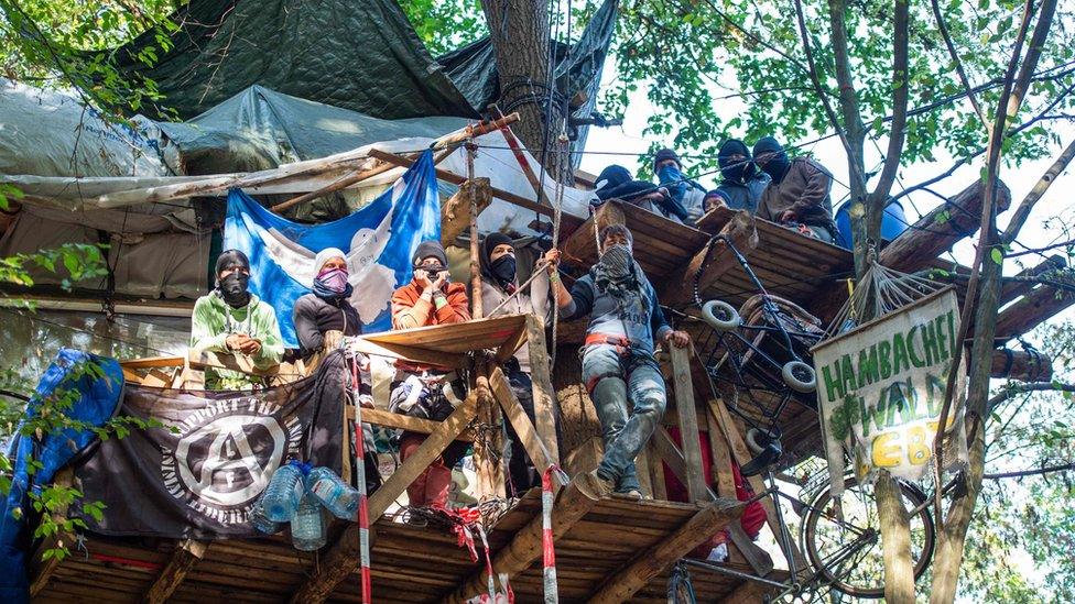 activists in a treehouse