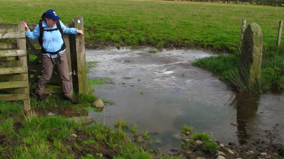 Flooded path