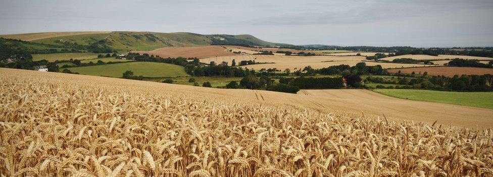 English countryside