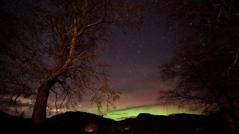 Aurora, Glenelg