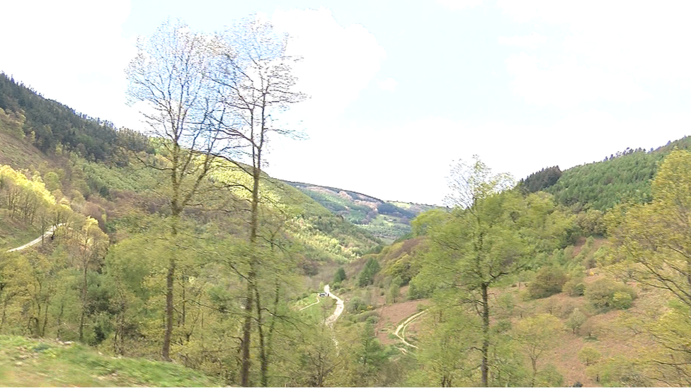 Cwmcarn Forest Drive