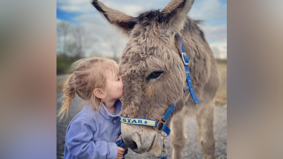 Amy's daughter with the donkey