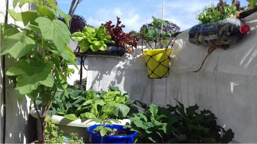 Balcony garden