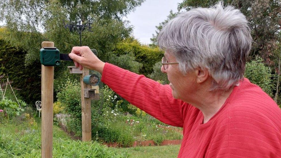 Jane Healey in a garden installing one of the bat posts