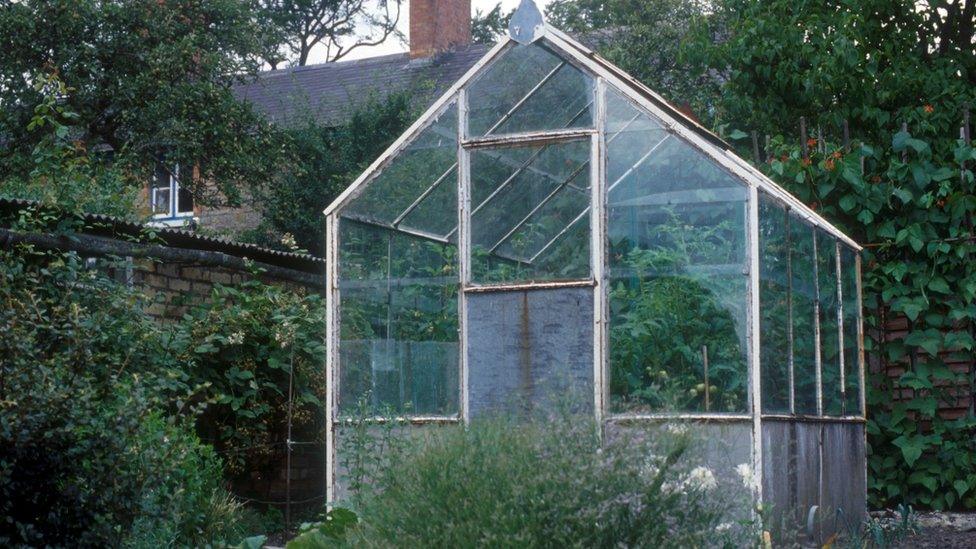 Greenhouse